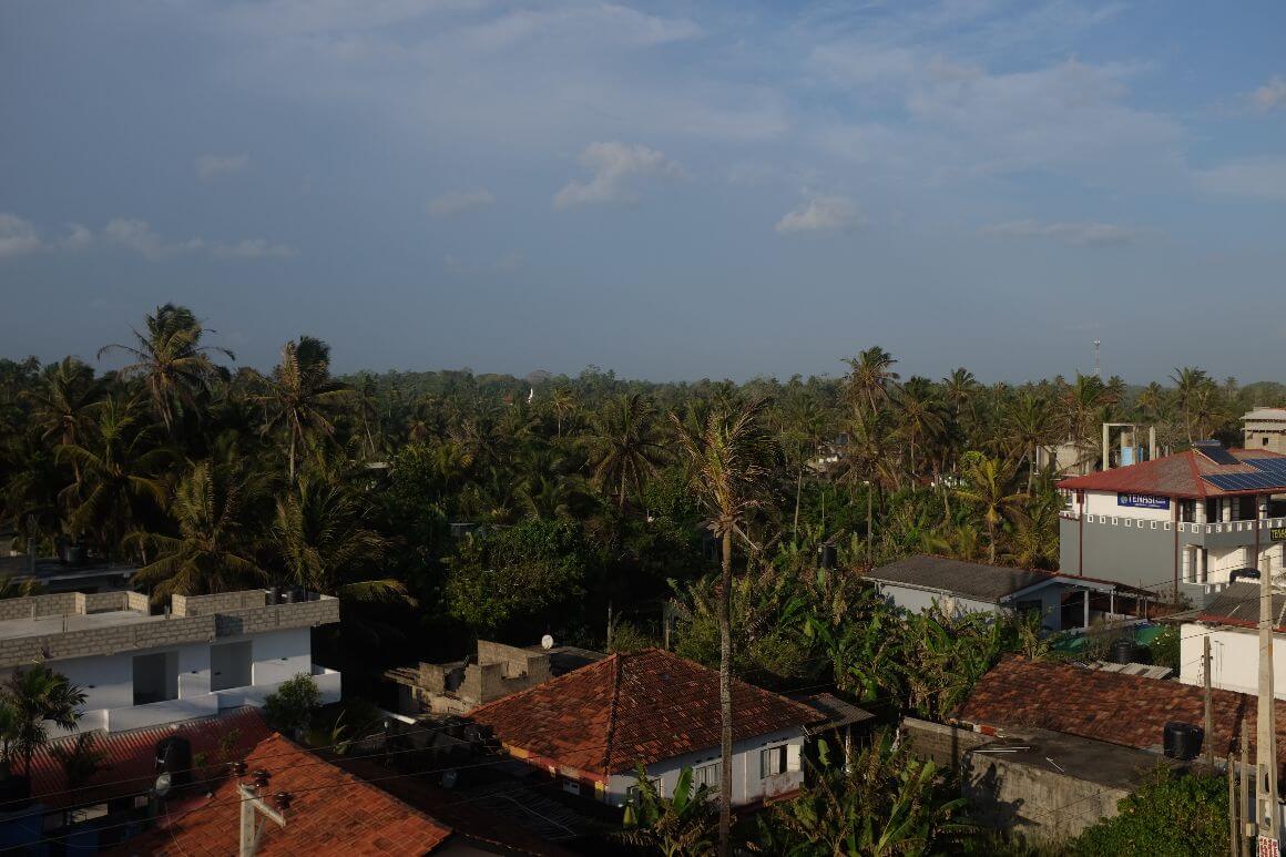 rooftop view of houses surrounded with lushy trees