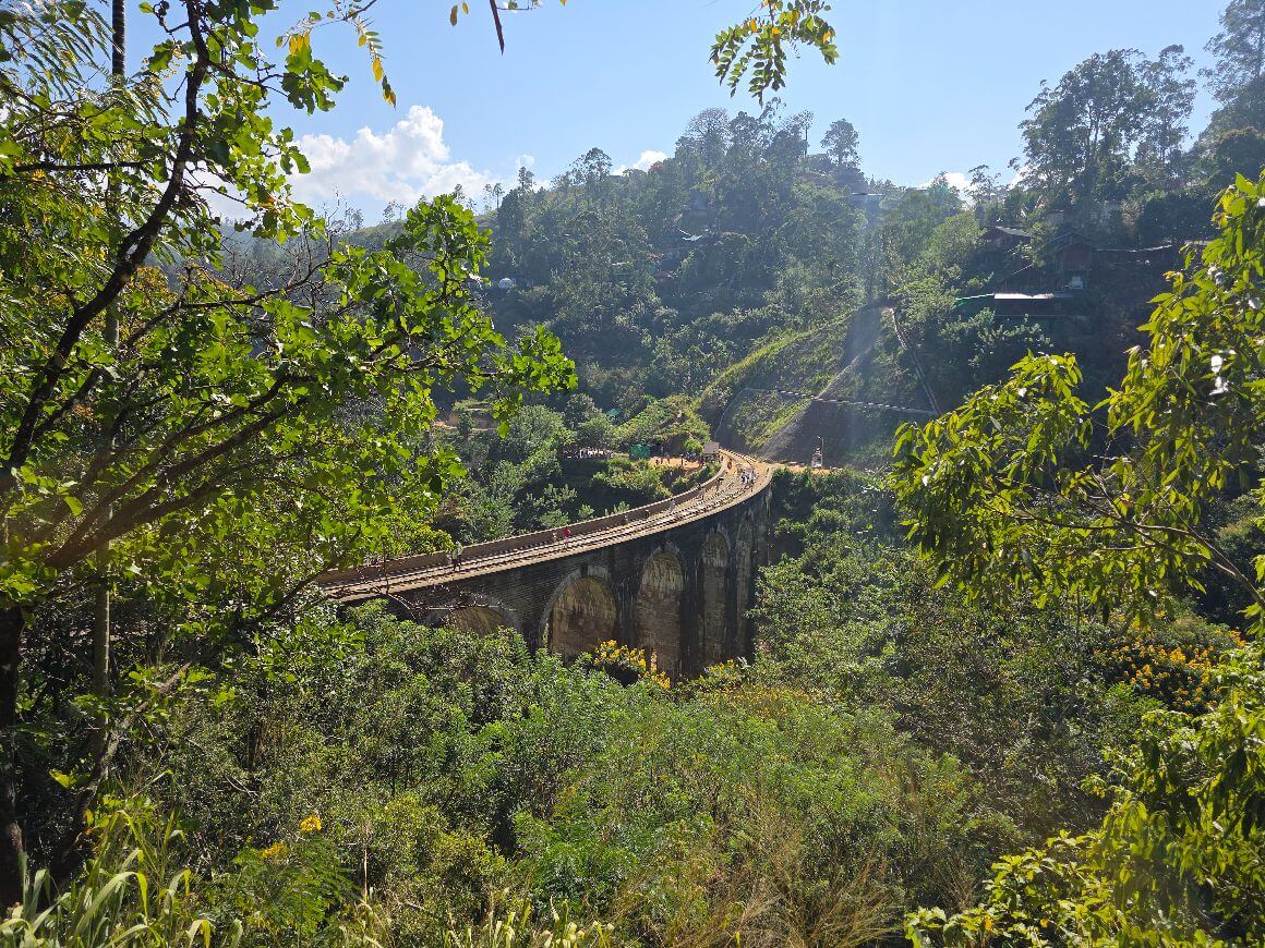 view of train tracks surrounded by lushy forest