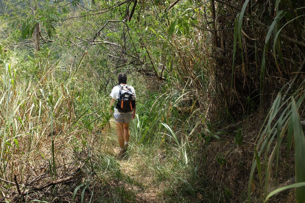 female hiker walking on a rugged trail path