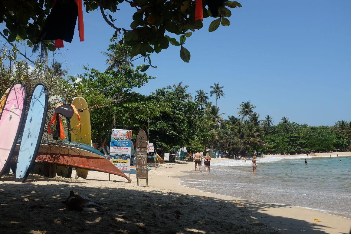 lined rental surfboard by the sea and people swimming on the shore