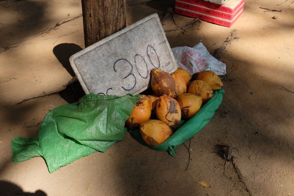 local fruit sold on the sack on the ground