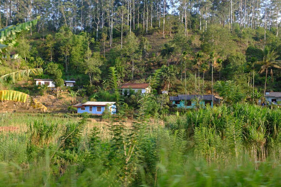view of village homes on a forest hillside