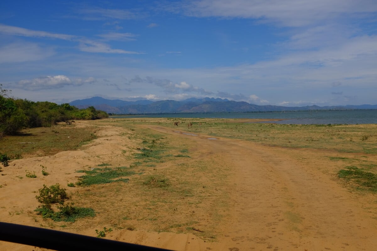 A wide open vista with mountains and a lake in Udawalawe National Park in Sri Lanka on Safari