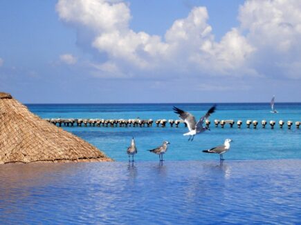 Punta Cancun, Cancun