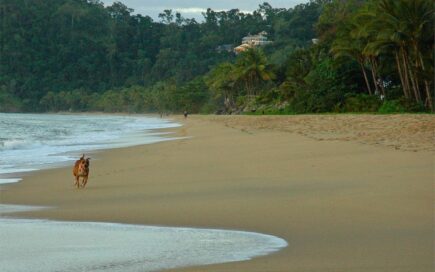 TrinityBeach, Cairns