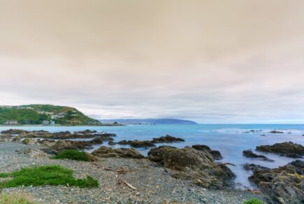 shutterstock-wellington-beach