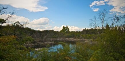 flickr-rotorua-park