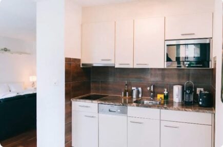 Bright Apartment with Pocket Wi Fi Zurich