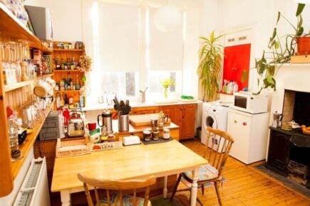 Quirky wee Arthurs Seat apartment