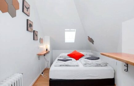 Cosy Loft Room in Central Park, Iceland