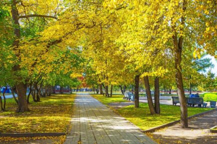 Krasny Prospekt Novosibirsk