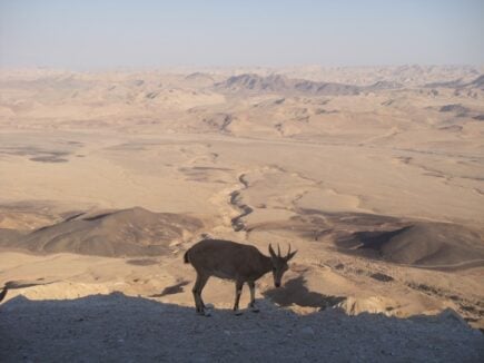 Mitzpe Ramon