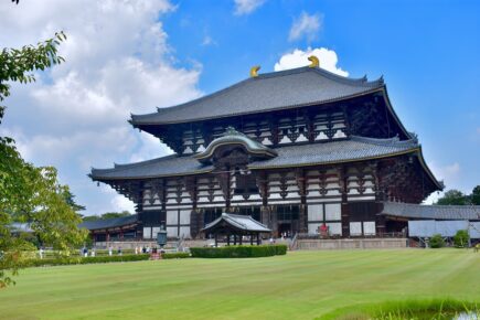 nara - nara park