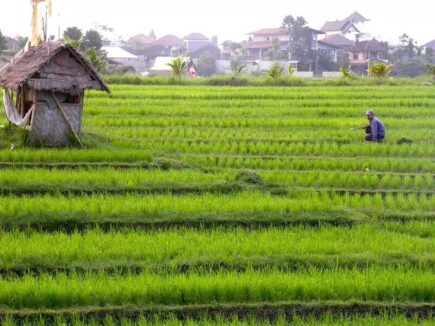 Berawa Canggu