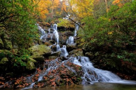 Black Mountain Asheville