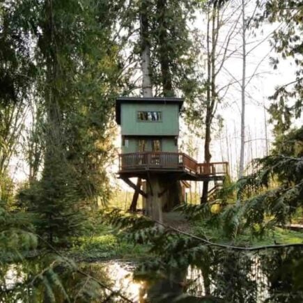 Treehouse with Panoramic Views