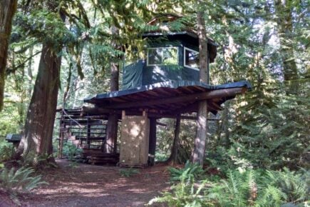 Eagles Perch Treehouse Experience
