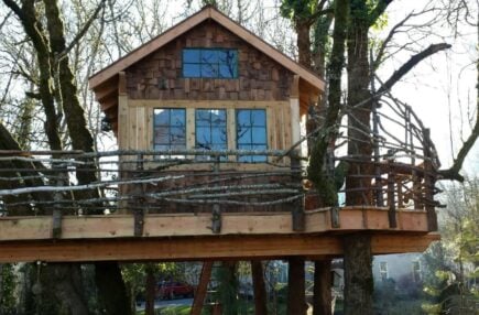 The Treehouse Retreat