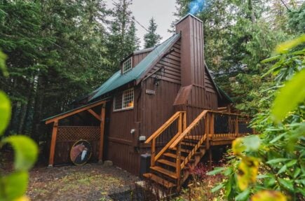 Govi Woodland Cabin