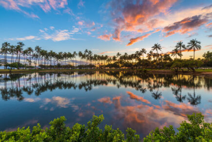 Ala Moana