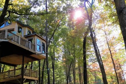 High Hope Spring Lake Ranch Treehouse