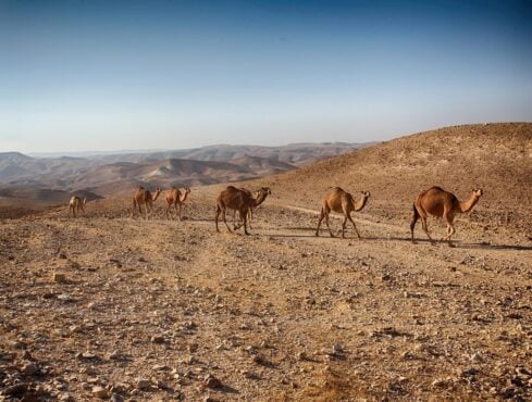 Best Place to Stay in Israel for Families