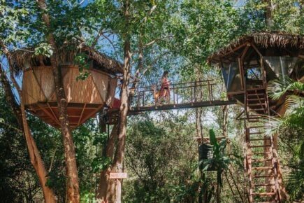 Sacred Geome Tree House in costa rica