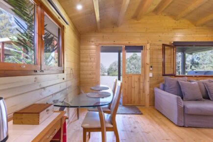 Dream Pine Cabin