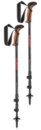 best budget trekking pole