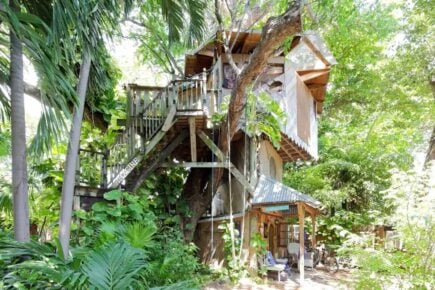 Treehouse Canopy Room on Permaculture Farm, Florida