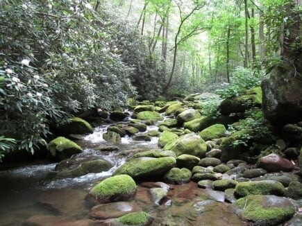 Great Smoky Mountain, Gatlinburg