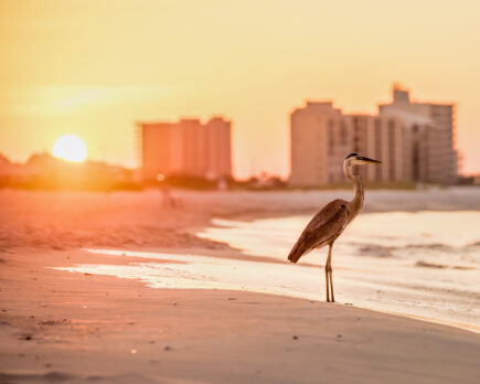 Perdido Key Orange Beach