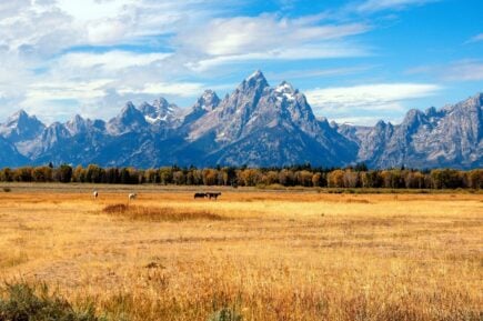 Jackson, Grand Teton National Park