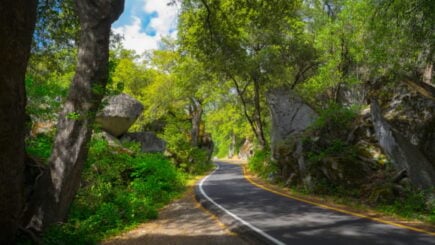 El Portal, Yosemite 1