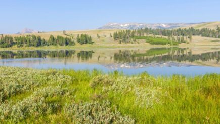 Cooke City, Yellowstone National Park