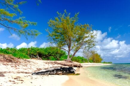 West Bay, Cayman Island