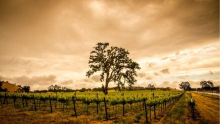 Templeton Paso Robles