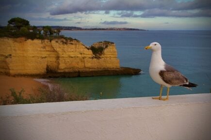 Albufeira Algarve