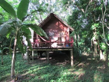 Parrot Nest Family Cabin Belize