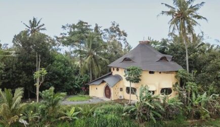 Nautilus Treehouse in Ubud