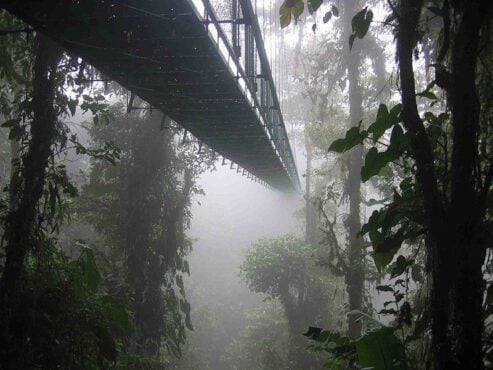 Monteverde cloud forest reserve