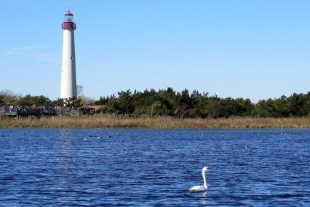 Lighthouse Cape May