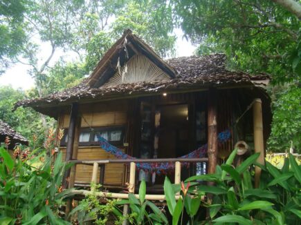 Re-wild House Chiang Mai