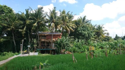 Bali Unique Treehouse