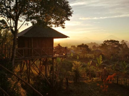 Bali Treehouse Pelangi