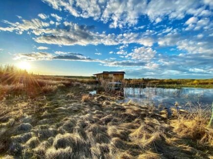 Willow Ridge Cottage Calgary