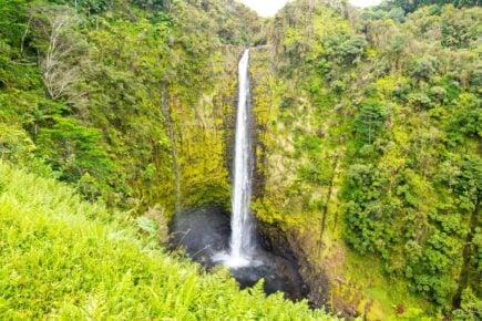 Akaka Falls The Big Island Hawaii