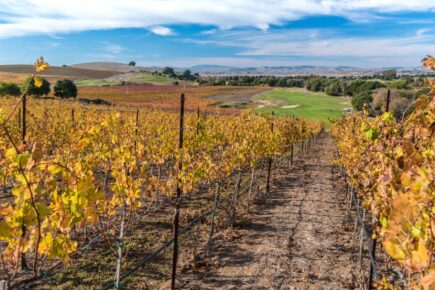 Chardonnay Golf Club Napa