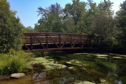 Connetquot River State Park Long Island