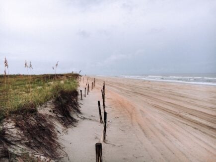 Carolina Beach State Park Wilmington